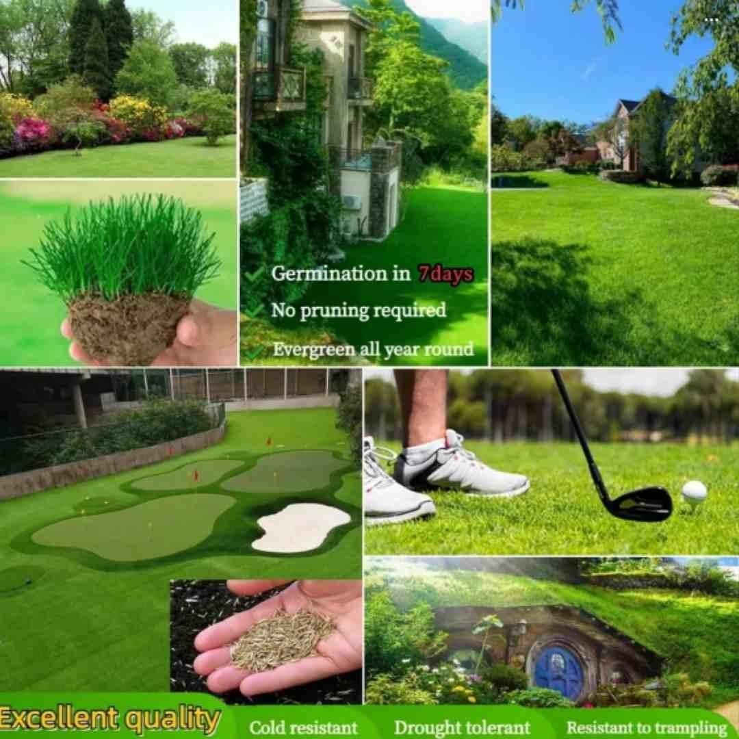 Garden & Balcony Care